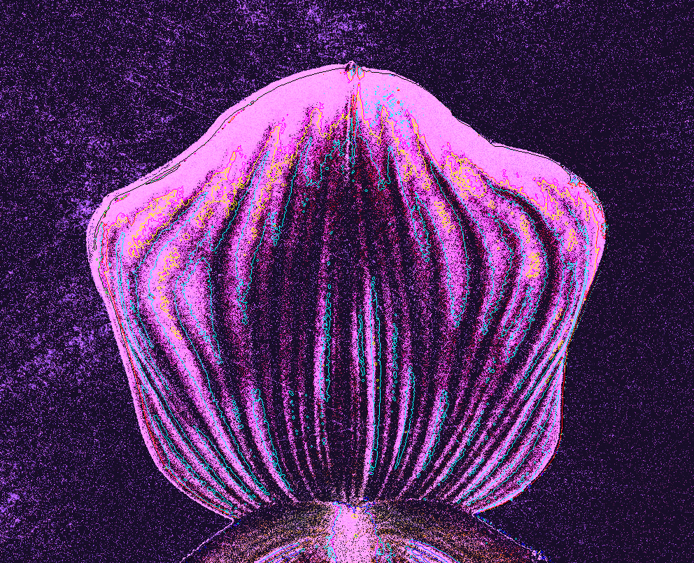 Orchid in artificial UVIVF